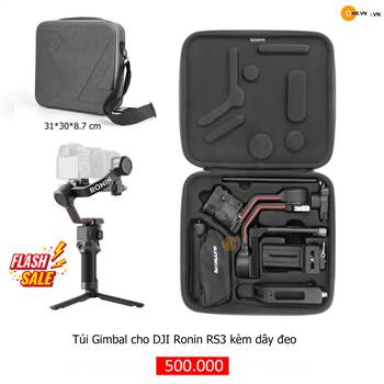 Túi chống sốc Gimbal Ronin RS3 kèm dây đeo